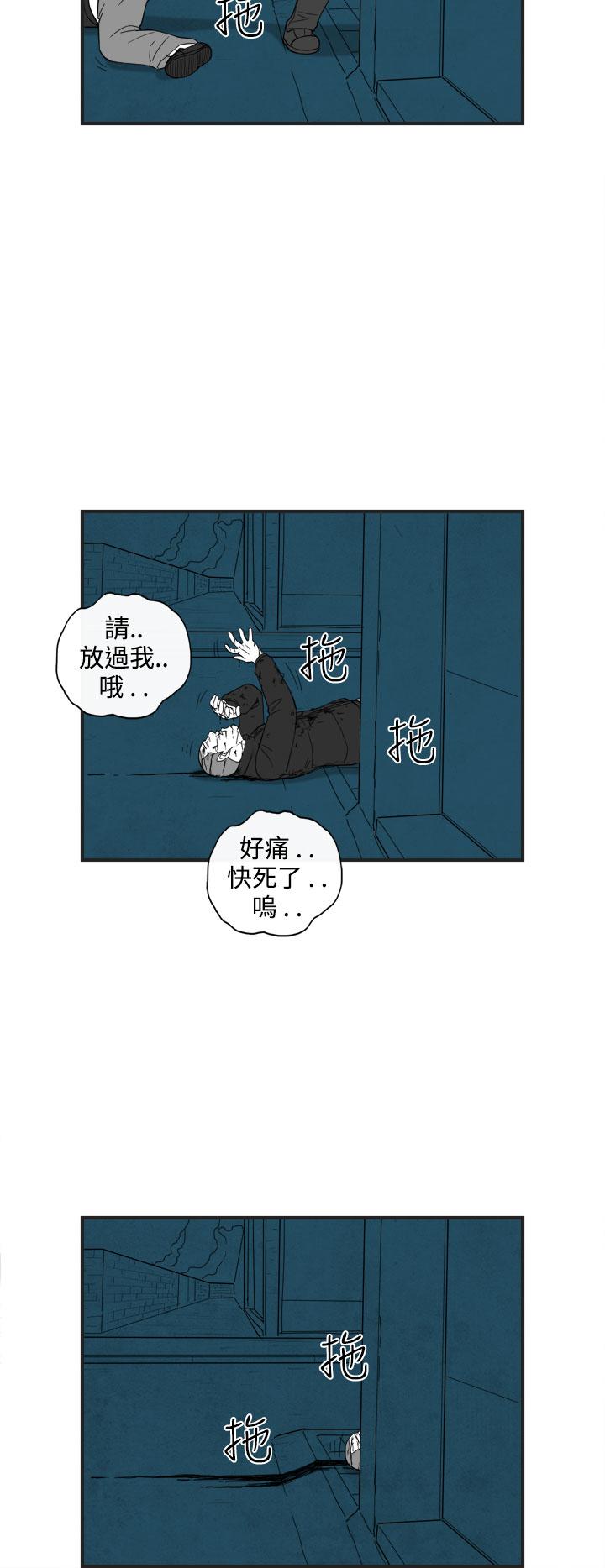 《密林》漫画最新章节密林-第37话免费下拉式在线观看章节第【15】张图片