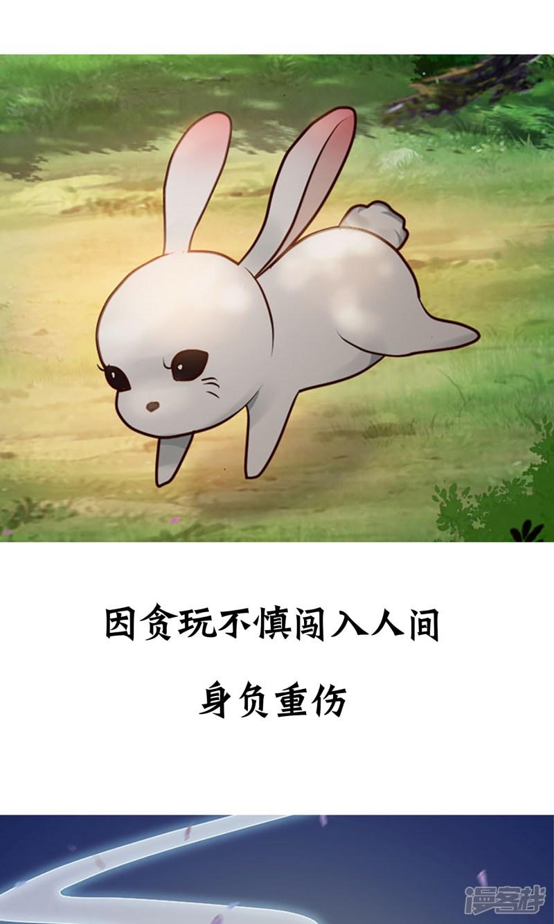 兔妖小王妃-预告全彩韩漫标签