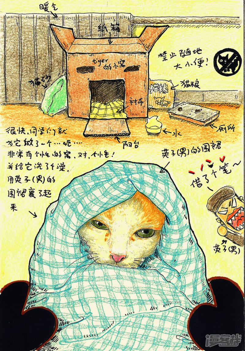 crazy蚂蚁-画室的猫全彩韩漫标签