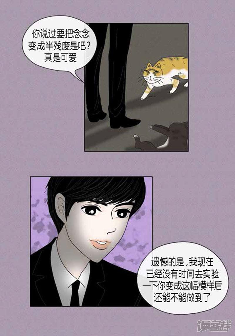猫王子-第49话 他回来了全彩韩漫标签