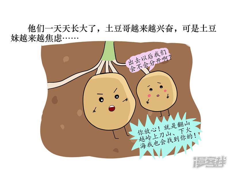 瓶子故事-第23话 土豆的爱情全彩韩漫标签