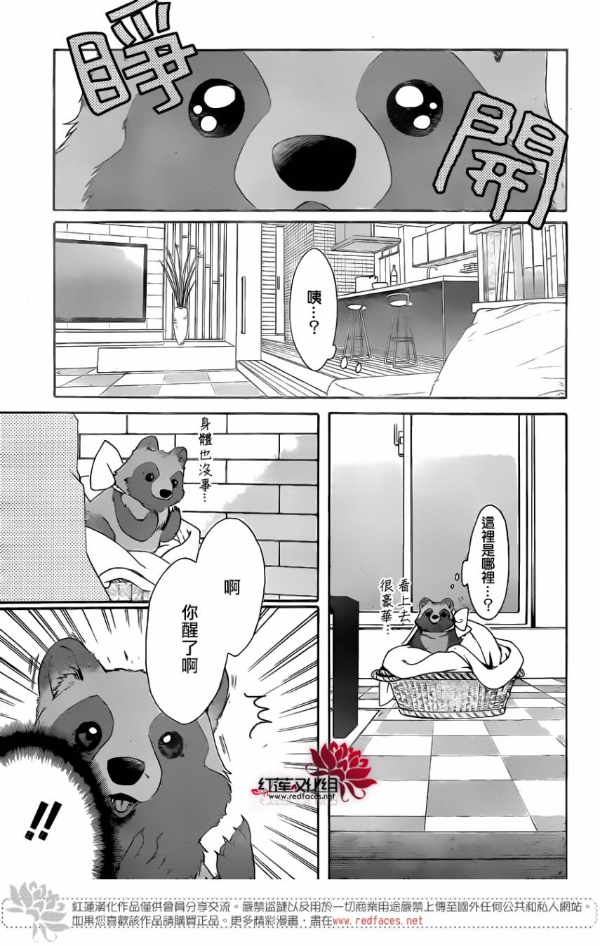 【恋爱吧！狸猫】漫画-（短篇）章节漫画下拉式图片-14.jpg