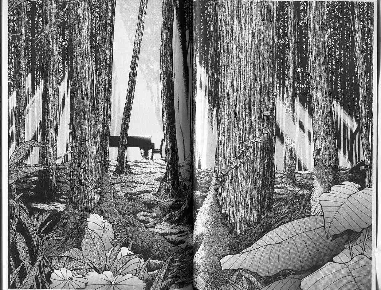 【森林中的钢琴师】漫画-（第01卷）章节漫画下拉式图片-32.jpg