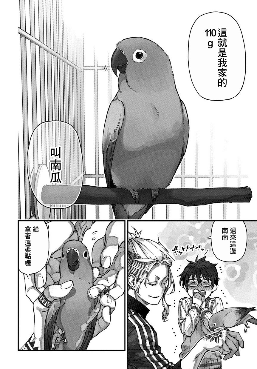 【鸟成瘾者】漫画-（第01话）章节漫画下拉式图片-11.jpg