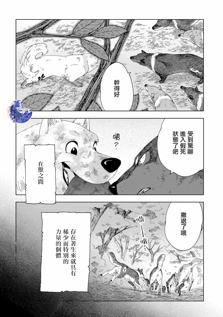 【狐狸阡万】漫画-（第01话）章节漫画下拉式图片-13.jpg