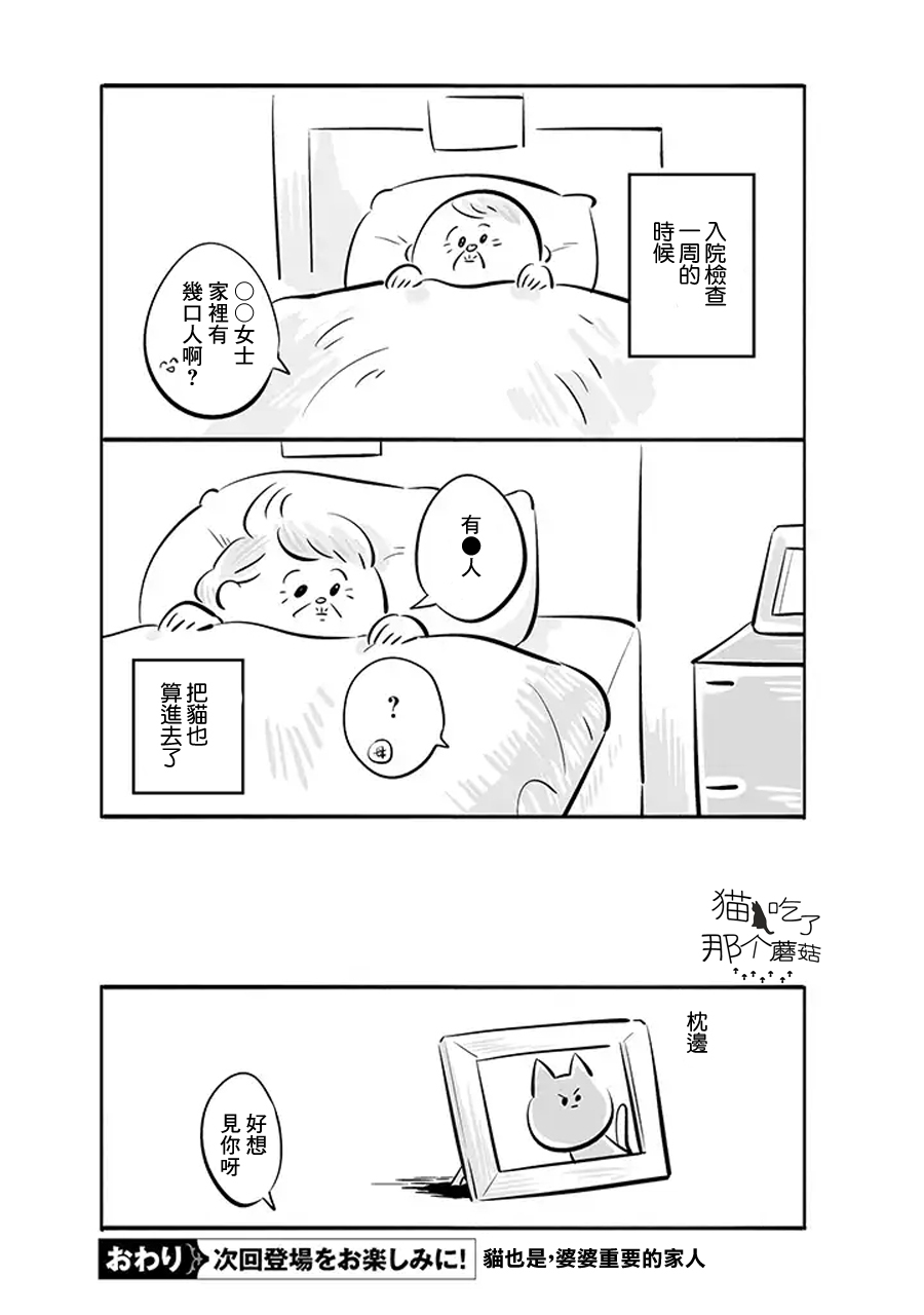 【祖母与猫】漫画-（第01话）章节漫画下拉式图片-11.jpg