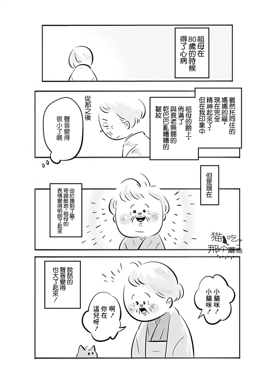 【祖母与猫】漫画-（第01话）章节漫画下拉式图片-4.jpg
