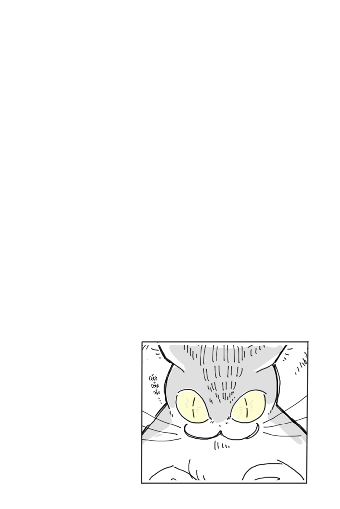【关于养猫我一直是新手】漫画-（第03话）章节漫画下拉式图片-9.jpg