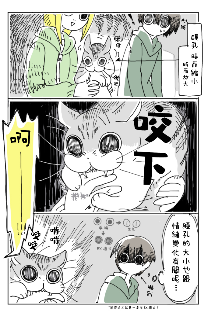 【关于养猫我一直是新手】漫画-（第03话）章节漫画下拉式图片-14.jpg