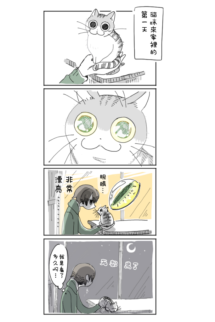 【关于养猫我一直是新手】漫画-（第03话）章节漫画下拉式图片-2.jpg