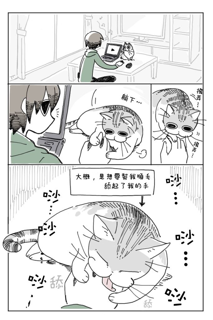 【关于养猫我一直是新手】漫画-（第04话）章节漫画下拉式图片-2.jpg