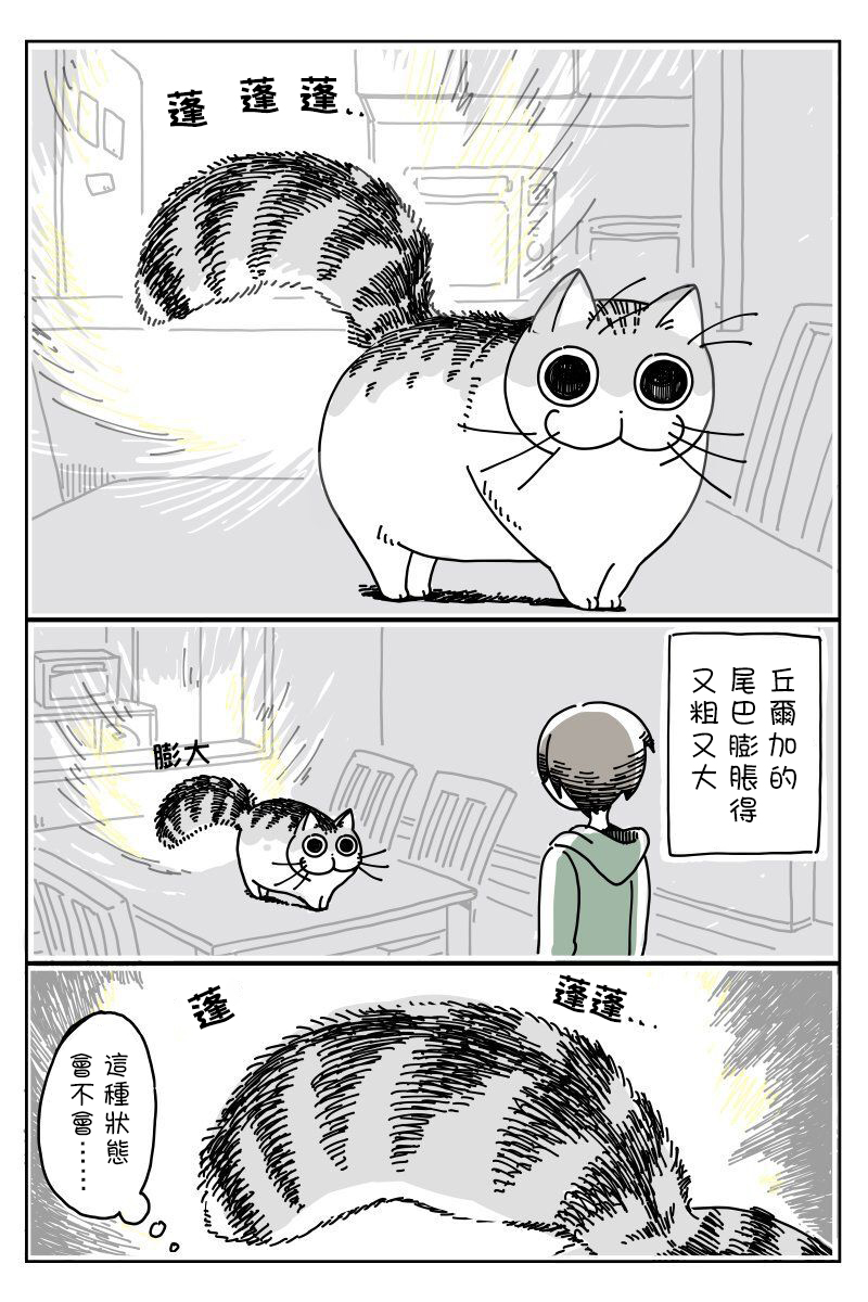 【关于养猫我一直是新手】漫画-（第06话）章节漫画下拉式图片-1.jpg