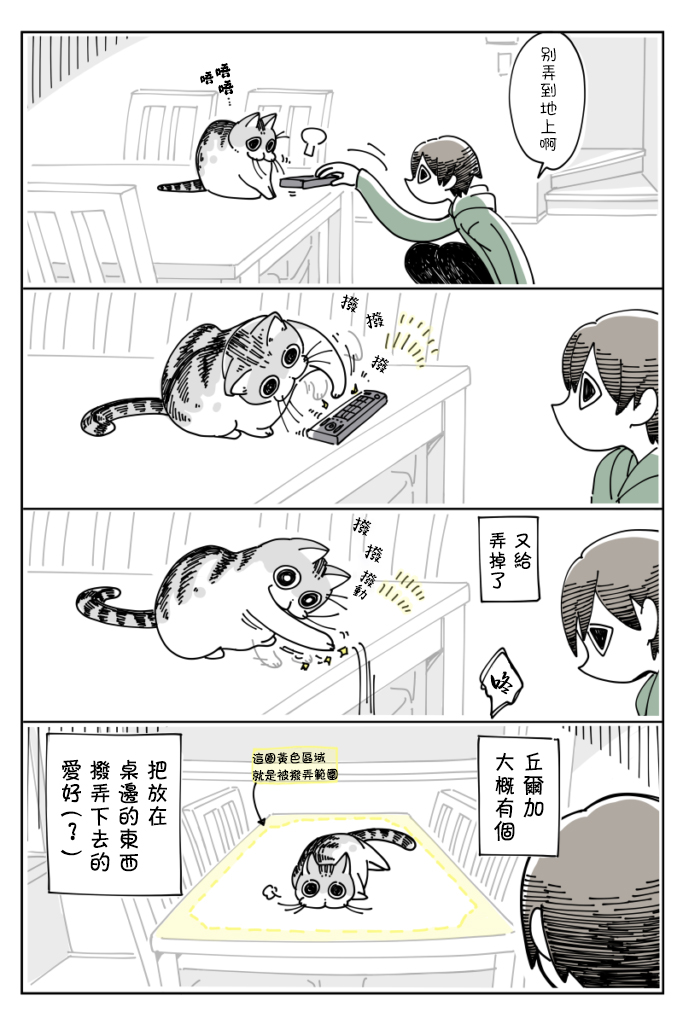 【关于养猫我一直是新手】漫画-（第12话）章节漫画下拉式图片-2.jpg