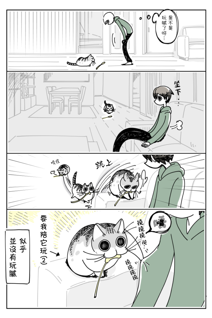 【关于养猫我一直是新手】漫画-（第13话）章节漫画下拉式图片-4.jpg