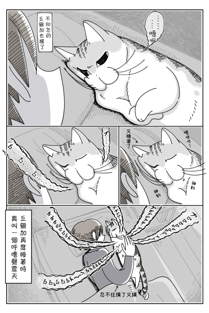 【关于养猫我一直是新手】漫画-（第37话）章节漫画下拉式图片-3.jpg