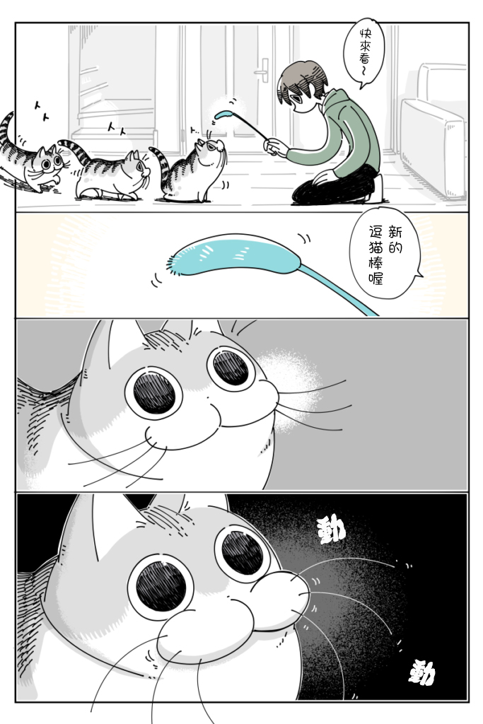 【关于养猫我一直是新手】漫画-（第40话）章节漫画下拉式图片-1.jpg