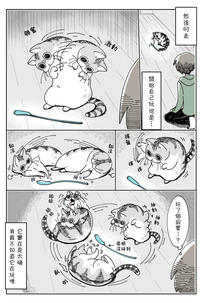 【关于养猫我一直是新手】漫画-（第40话）章节漫画下拉式图片-3.jpg