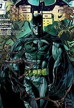 新52蝙蝠侠动画电影剪影图片