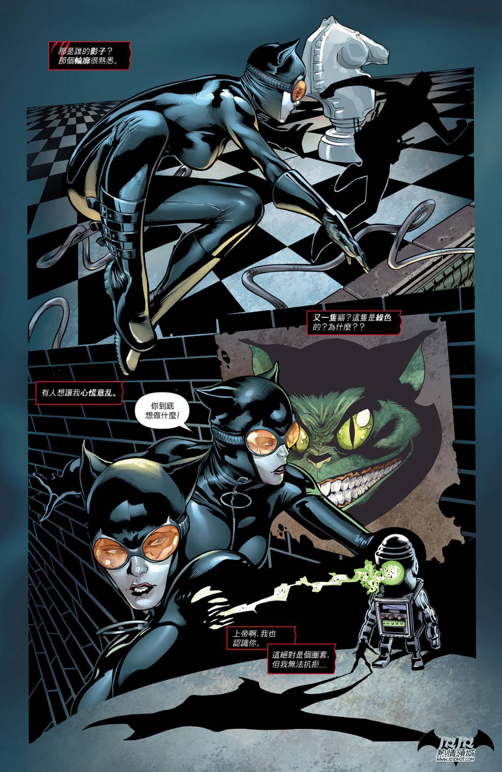 【新52蝙蝠侠】漫画-（支线猫女13）章节漫画下拉式图片-10.jpg