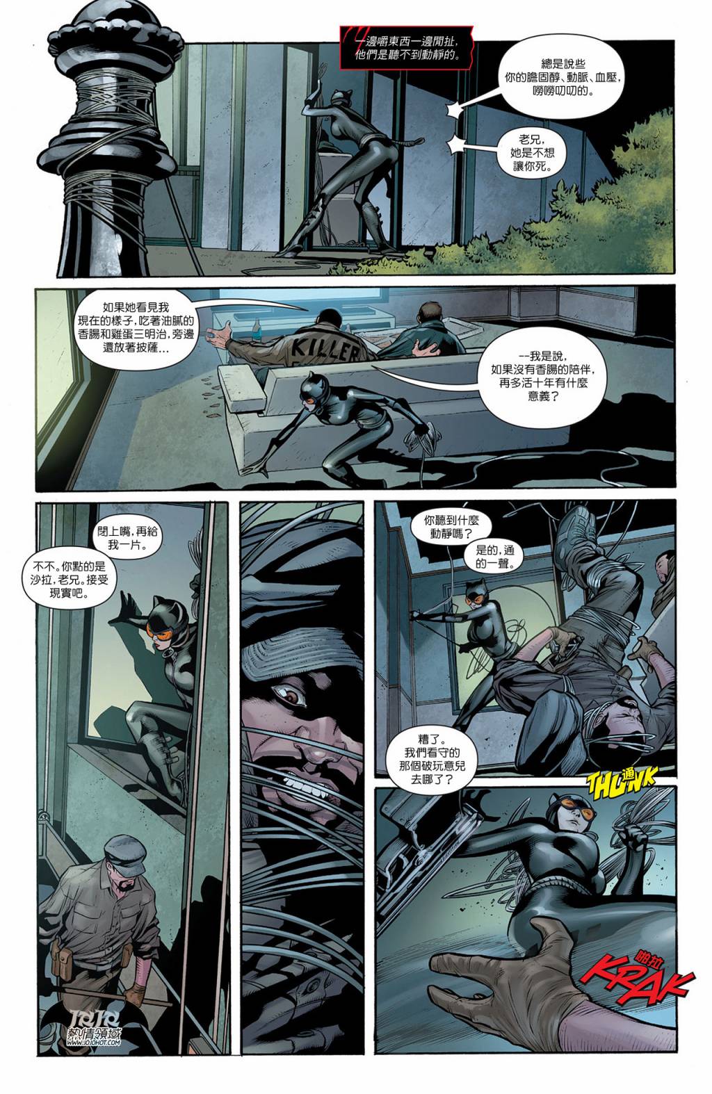 【新52蝙蝠侠】漫画-（支线猫女13）章节漫画下拉式图片-17.jpg
