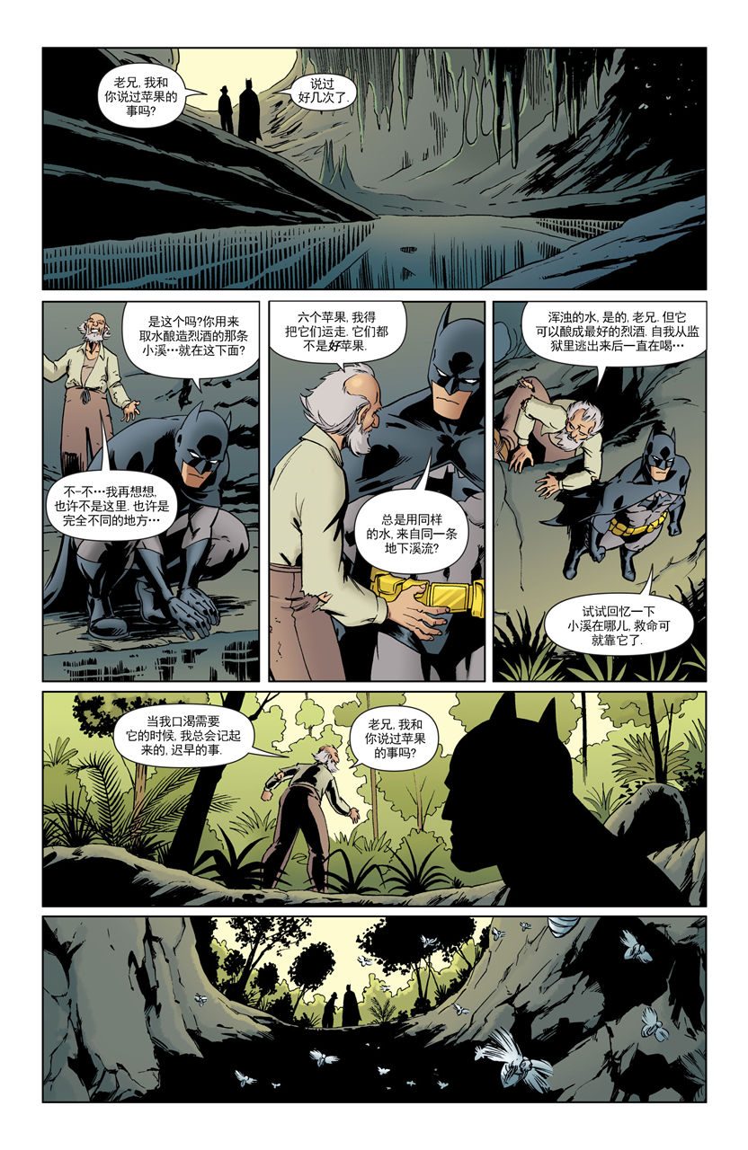 【蝙蝠侠】漫画-（2008年刊）章节漫画下拉式图片-31.jpg