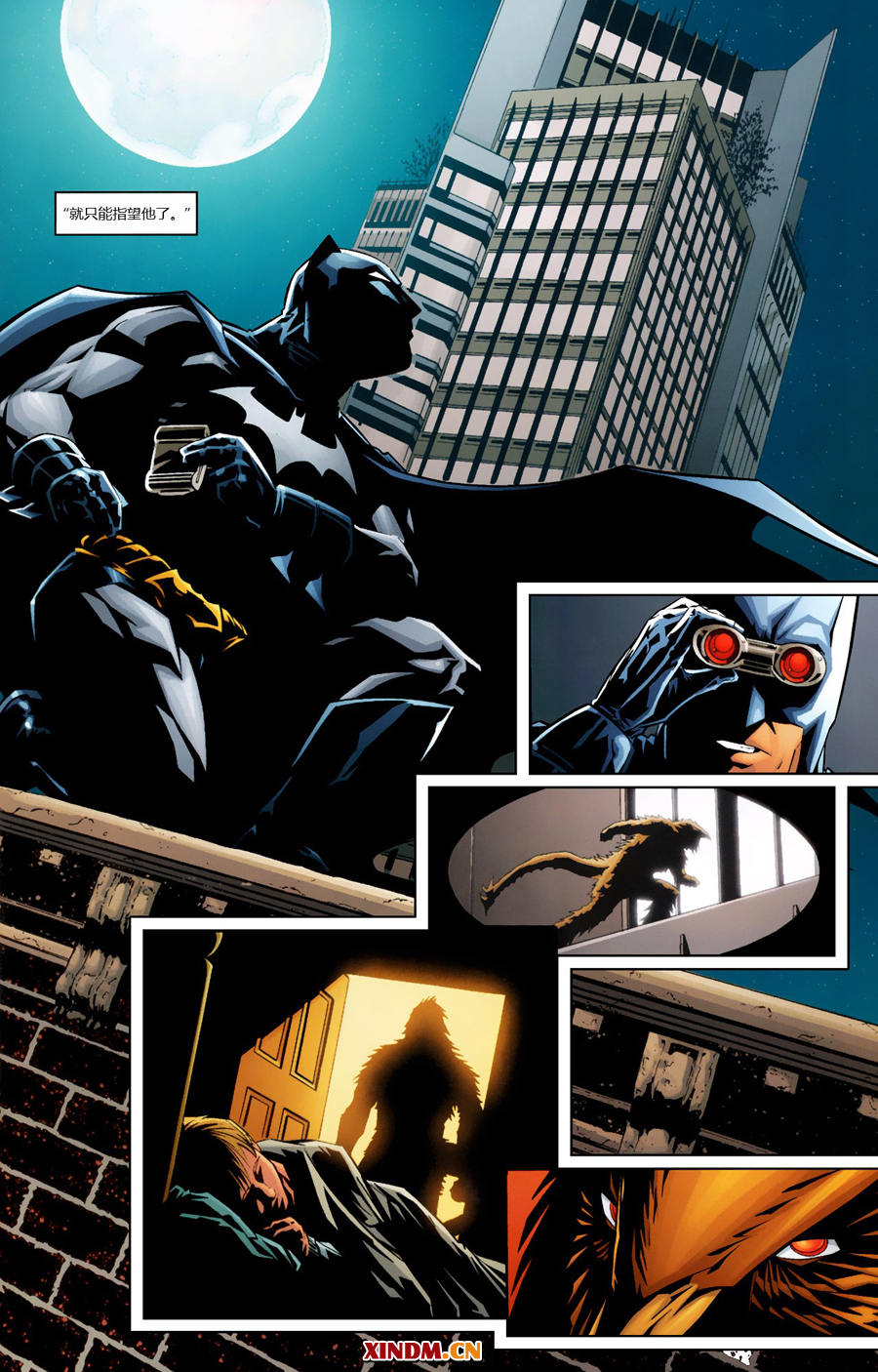 【蝙蝠侠】漫画-（2009年刊）章节漫画下拉式图片-9.jpg