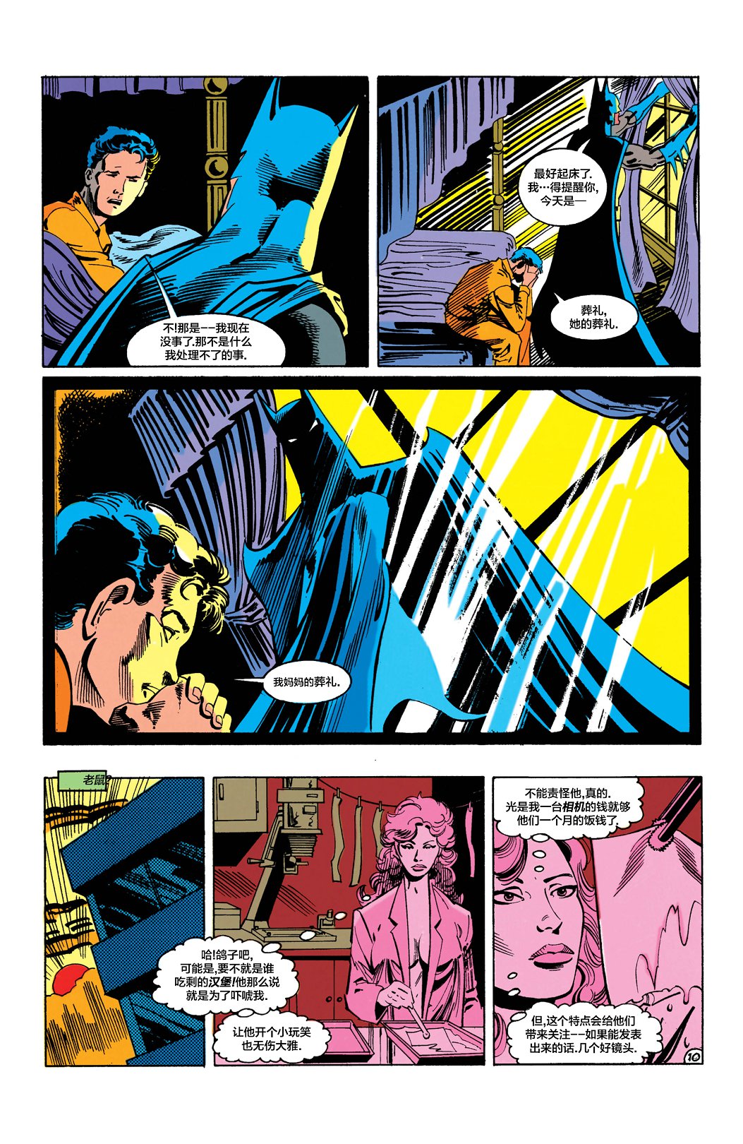 【蝙蝠侠】漫画-（第455卷）章节漫画下拉式图片-11.jpg