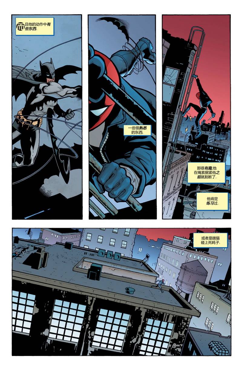 【蝙蝠侠】漫画-（第636卷头罩之下#2）章节漫画下拉式图片-20.jpg