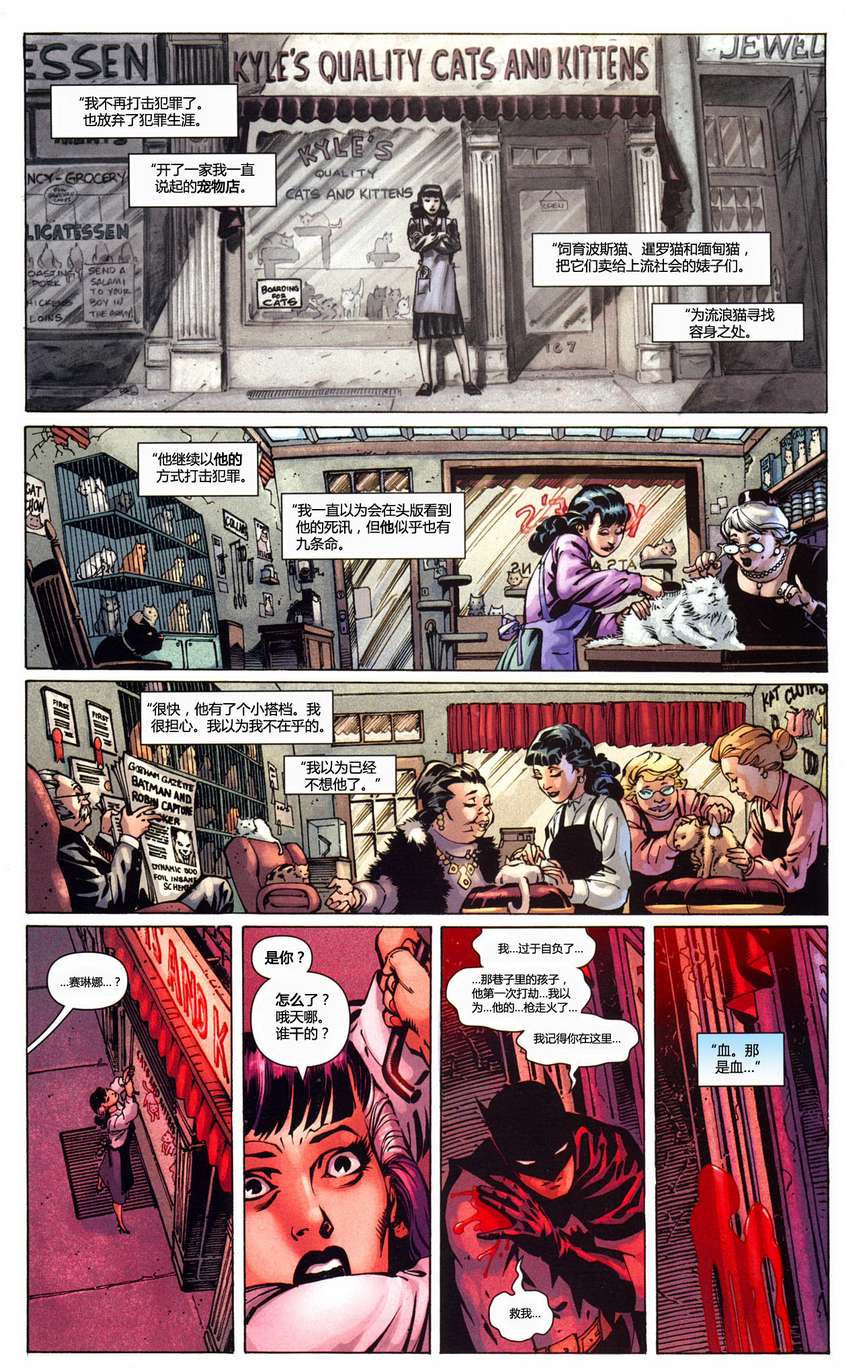 【蝙蝠侠】漫画-（第686卷披风斗士的命运#1）章节漫画下拉式图片-22.jpg