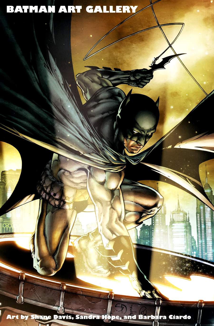 【蝙蝠侠】漫画-（第700卷纪念刊）章节漫画下拉式图片-35.jpg