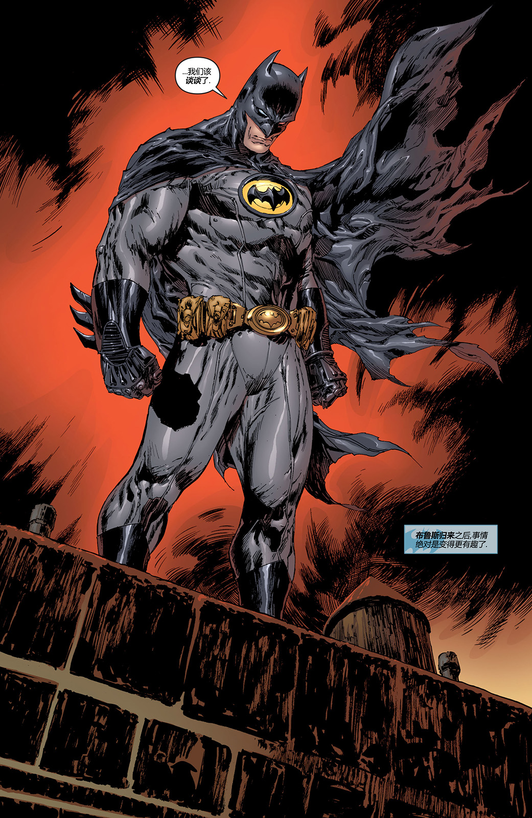 【蝙蝠侠】漫画-（第704卷）章节漫画下拉式图片-9.jpg