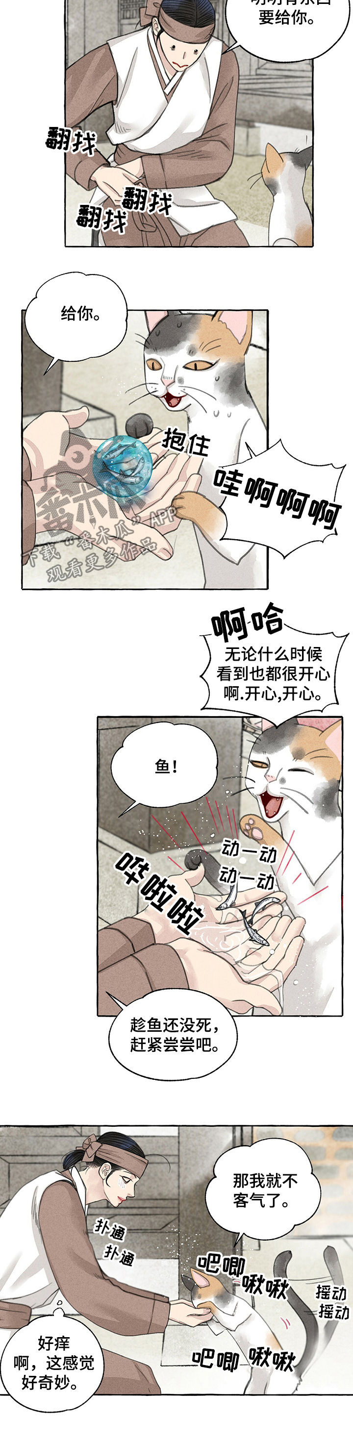 《冒险秘密》漫画最新章节第57章：回家免费下拉式在线观看章节第【7】张图片