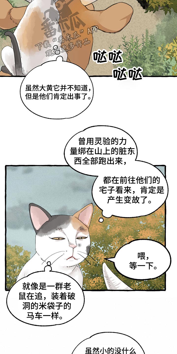 《冒险秘密》漫画最新章节第115章：绝对免费下拉式在线观看章节第【7】张图片