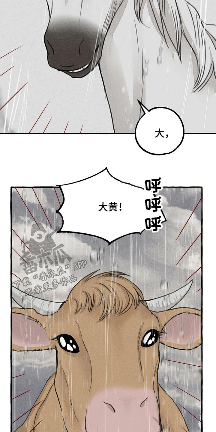 《冒险秘密》漫画最新章节第119章：前行免费下拉式在线观看章节第【14】张图片