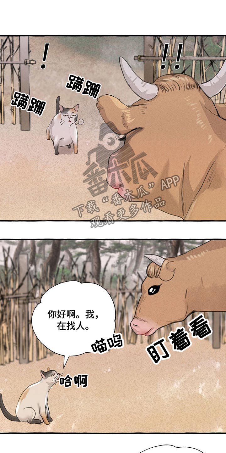 《冒险秘密》漫画最新章节第113章：悲伤免费下拉式在线观看章节第【2】张图片