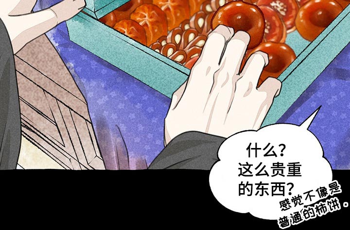 《冒险秘密》漫画最新章节第108章：贵重免费下拉式在线观看章节第【6】张图片