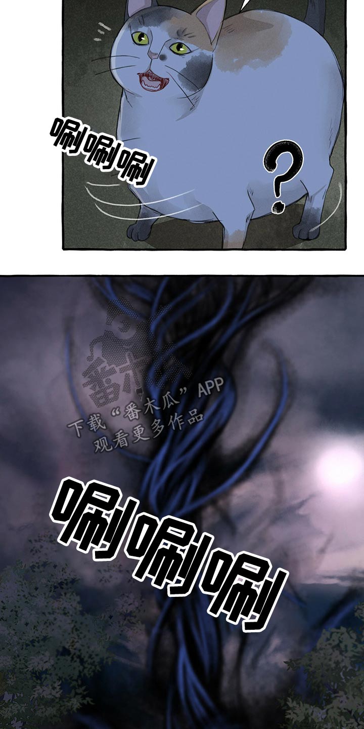 《冒险秘密》漫画最新章节第131章：亲自出马免费下拉式在线观看章节第【3】张图片