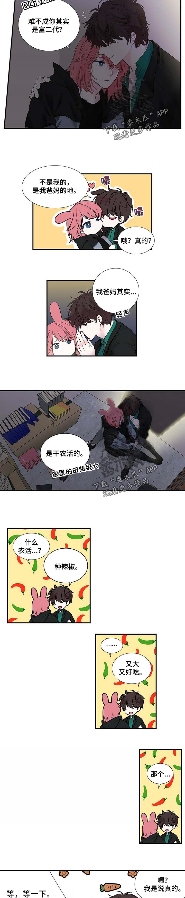 《特别研究》漫画最新章节第95章：我们回家免费下拉式在线观看章节第【2】张图片