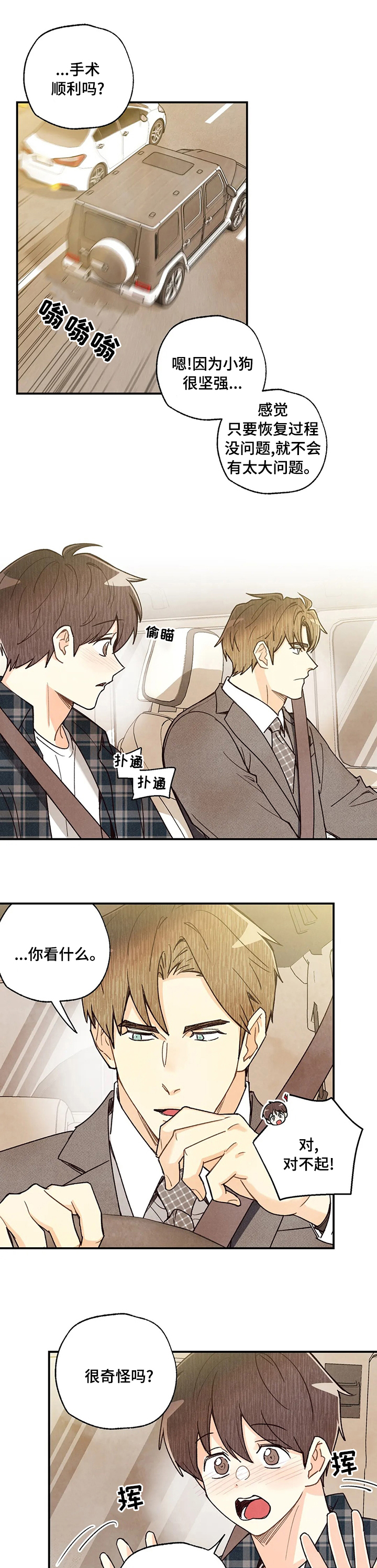 《身体刻印》漫画最新章节第99章：歌剧免费下拉式在线观看章节第【10】张图片