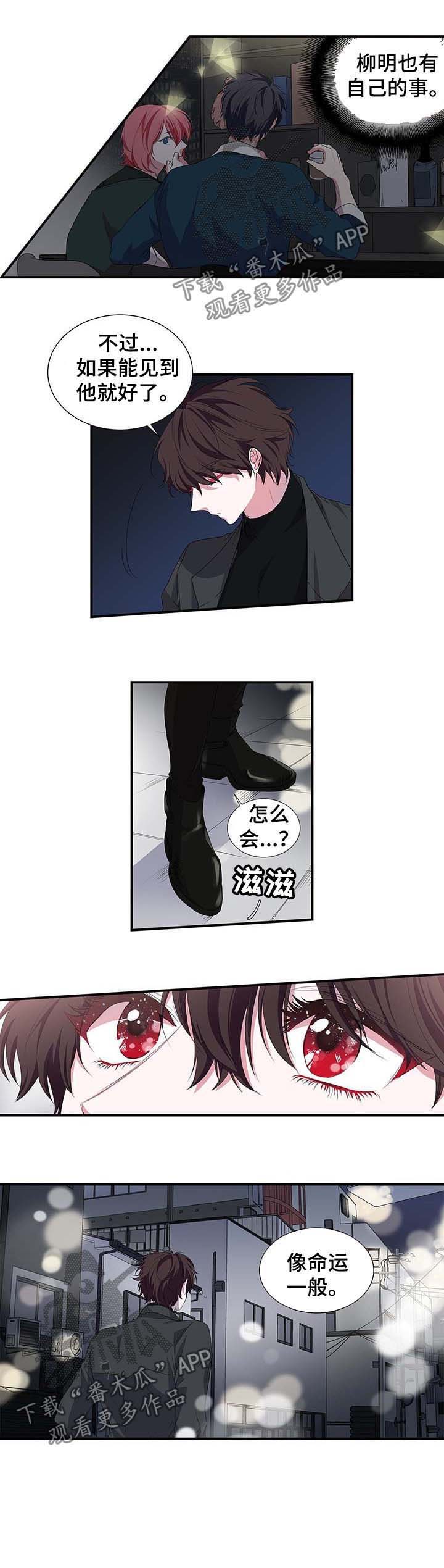 《特别研究》漫画最新章节第32章：像命运一般免费下拉式在线观看章节第【1】张图片