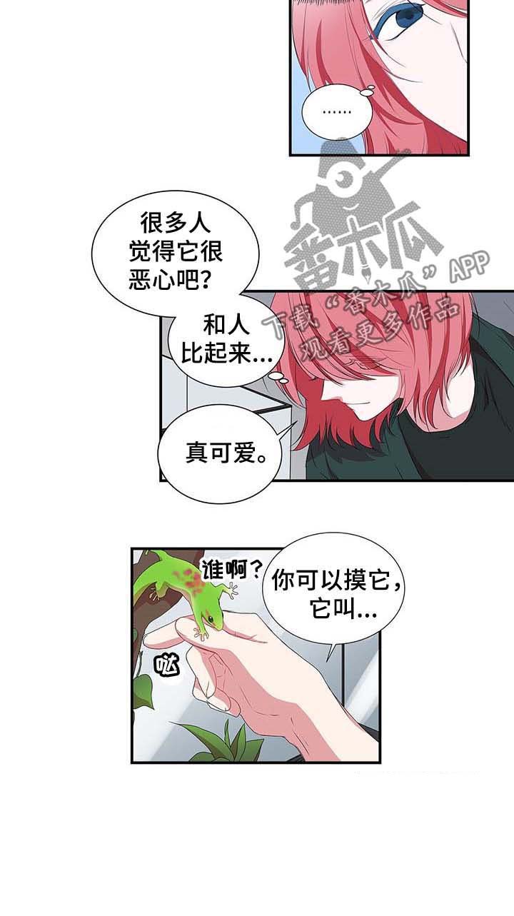 《特别研究》漫画最新章节第33章：老虎免费下拉式在线观看章节第【4】张图片