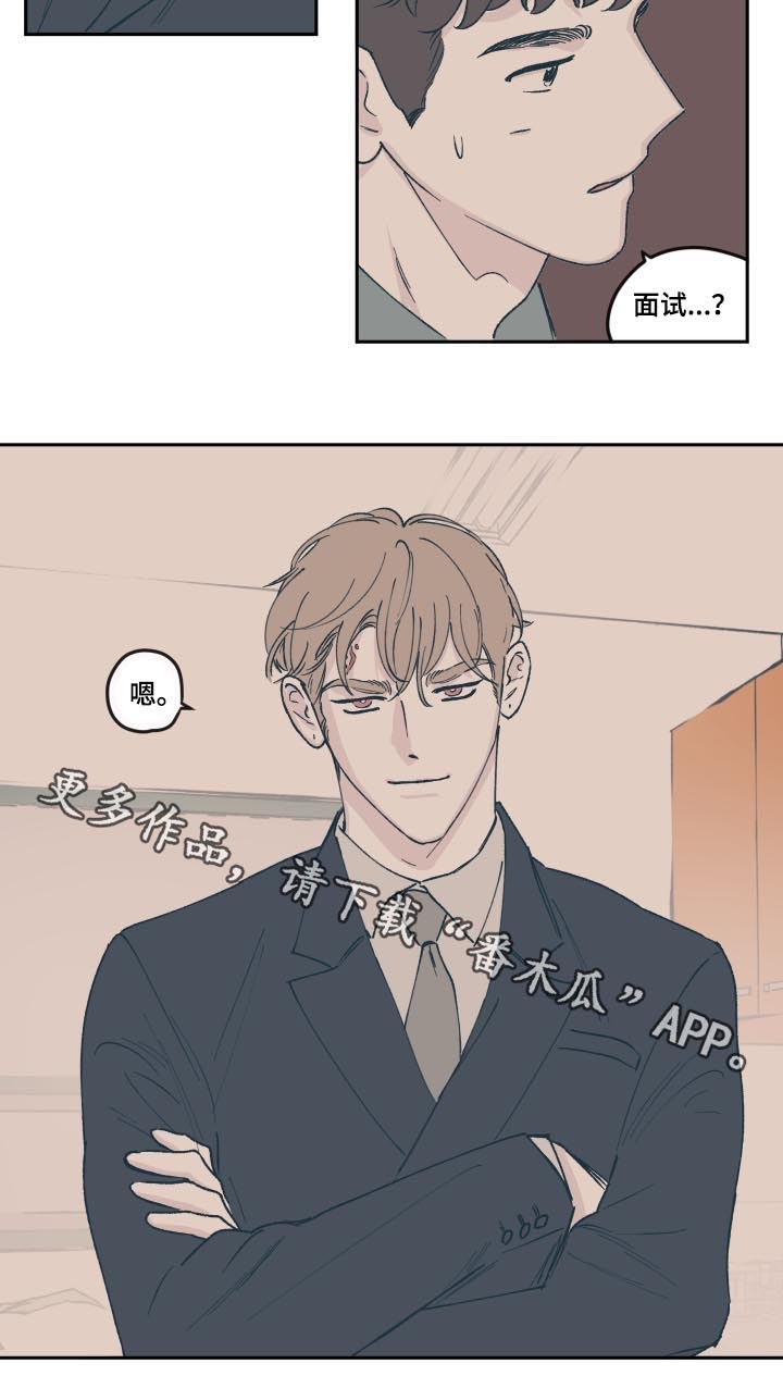 《阴谋与争斗》漫画最新章节第61章：面试免费下拉式在线观看章节第【1】张图片