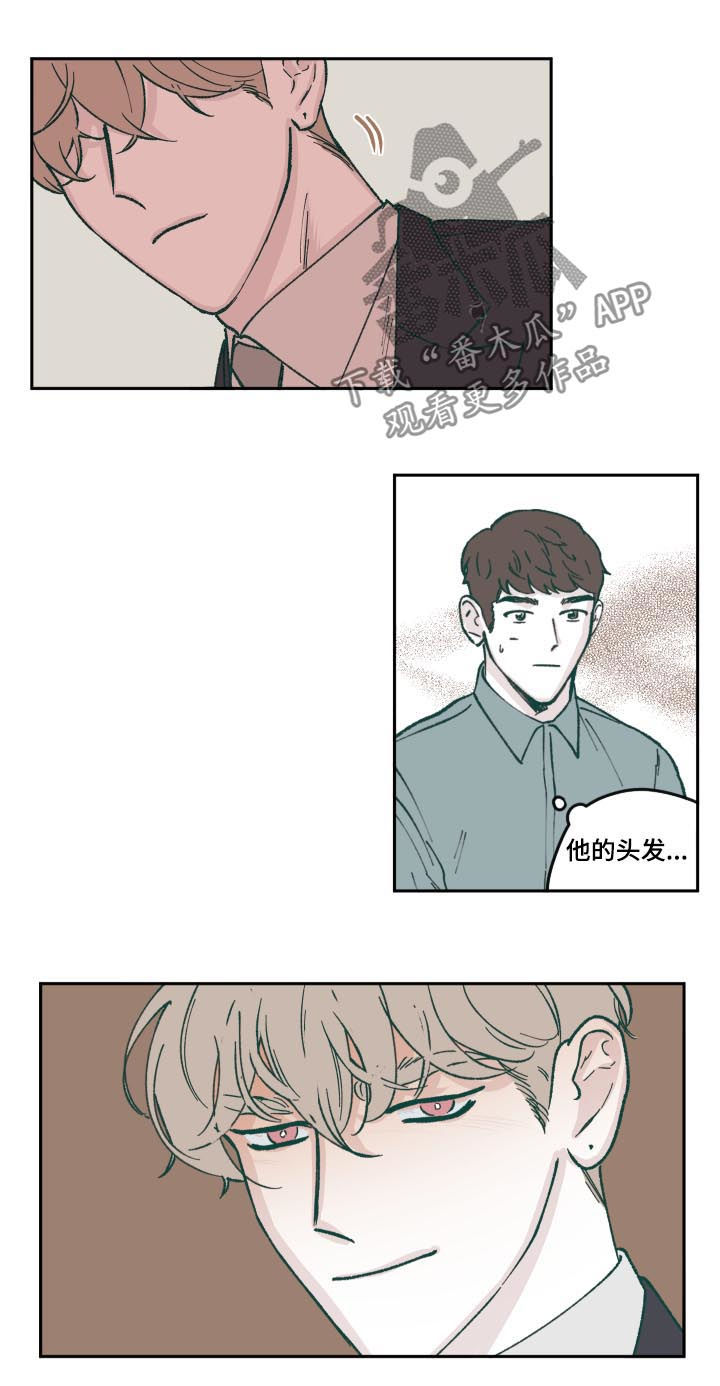 《阴谋与争斗》漫画最新章节第62章：人设免费下拉式在线观看章节第【8】张图片