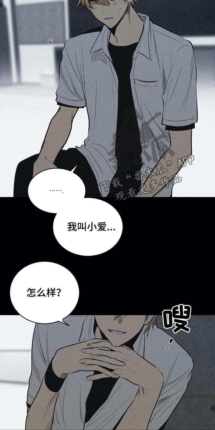 《小桃与小爱》漫画最新章节第100章：【第二季】权利关系免费下拉式在线观看章节第【19】张图片