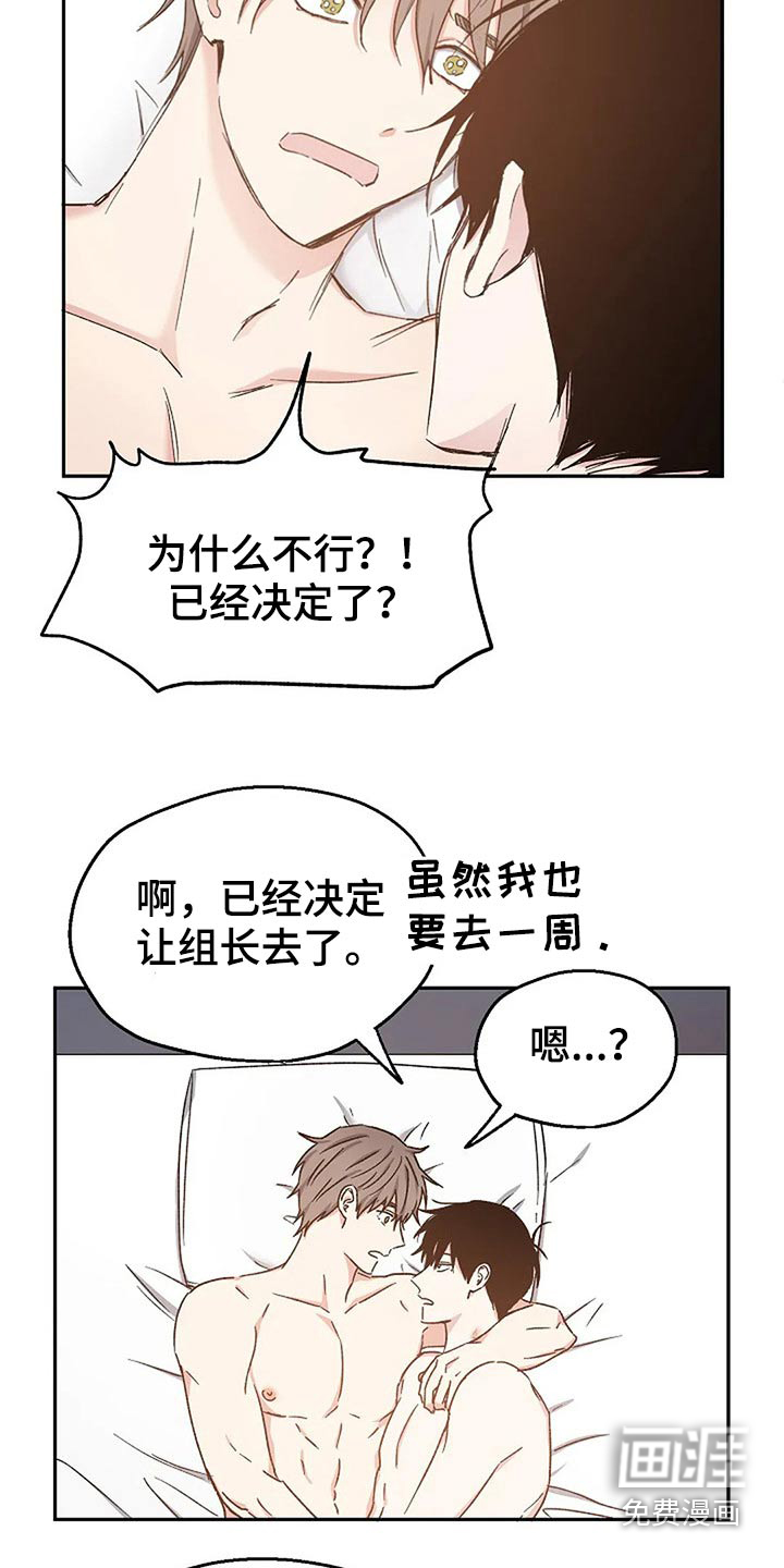 《爱情赌注》漫画最新章节第76章：爱的结局【完结】免费下拉式在线观看章节第【11】张图片