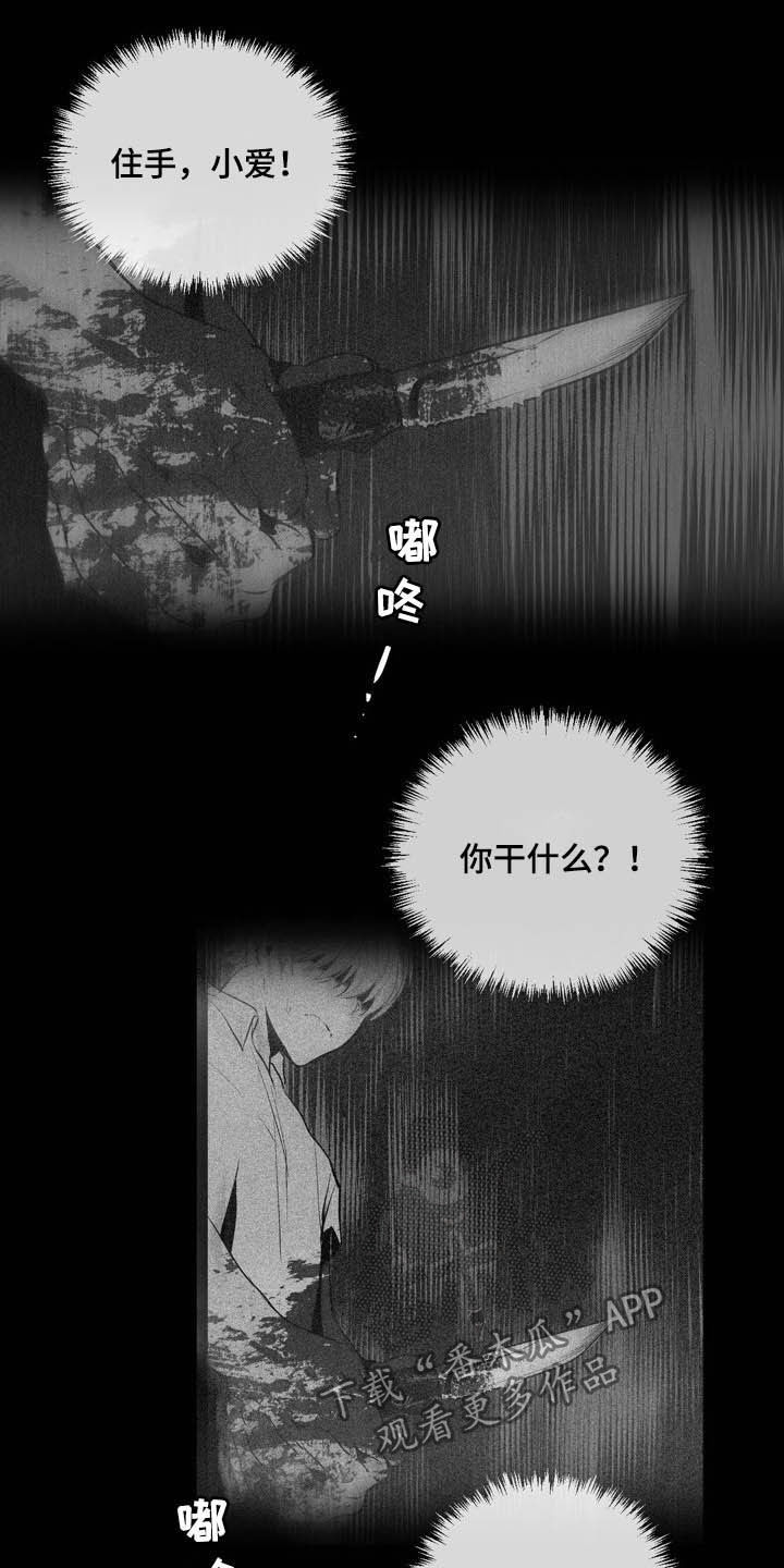 《小桃与小爱》漫画最新章节第62章：你是间谍吗免费下拉式在线观看章节第【27】张图片