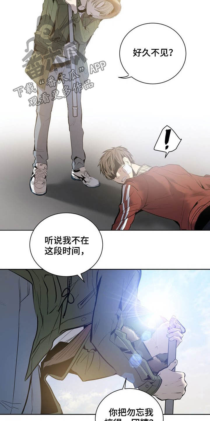 《小桃与小爱》漫画最新章节第67章：LION的回归（第一季完结）免费下拉式在线观看章节第【3】张图片