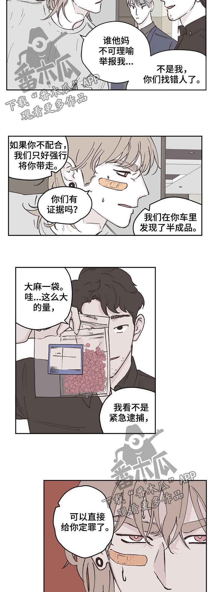 《阴谋与争斗》漫画最新章节第49章：逮捕免费下拉式在线观看章节第【10】张图片