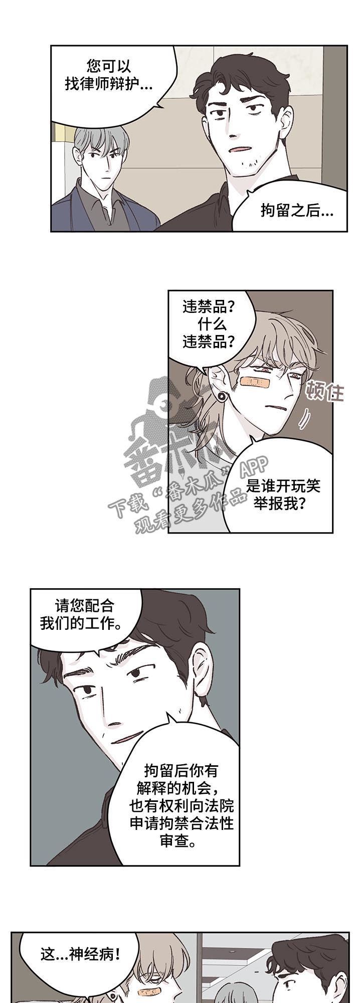 《阴谋与争斗》漫画最新章节第49章：逮捕免费下拉式在线观看章节第【11】张图片