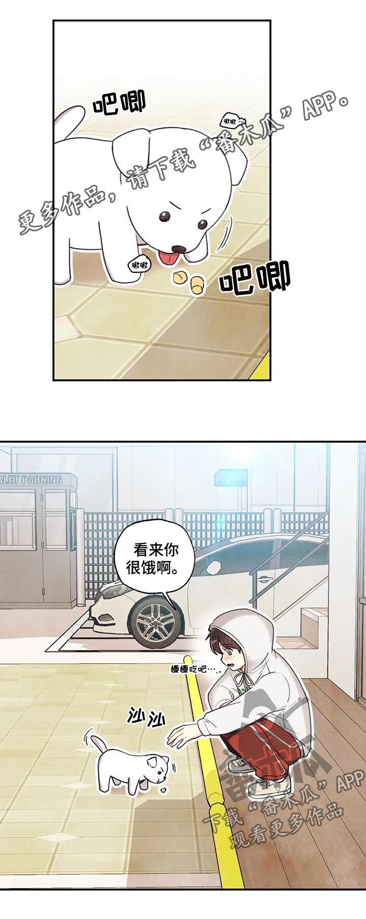 《身体刻印》漫画最新章节第61章：红线日免费下拉式在线观看章节第【13】张图片